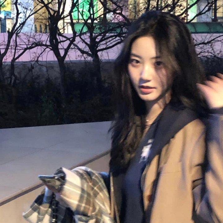 津门飞鹰