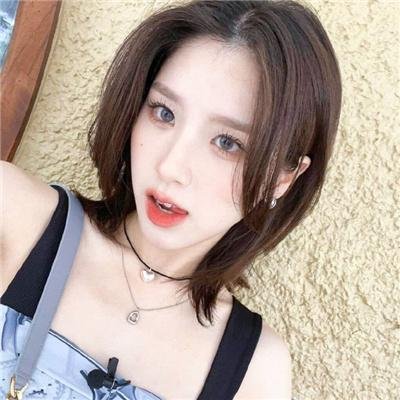 狗狗会说话